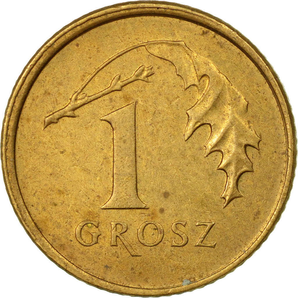 Coin, Poland, Grosz, 2009, Warsaw, EF(40-45), Brass, KM:276