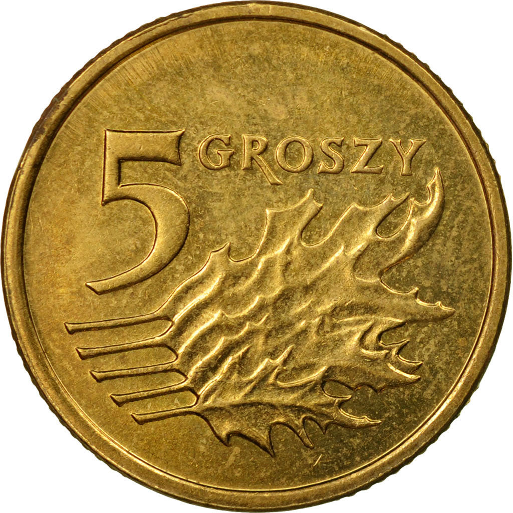Coin, Poland, 5 Groszy, 2009, Warsaw, EF(40-45), Brass, KM:278