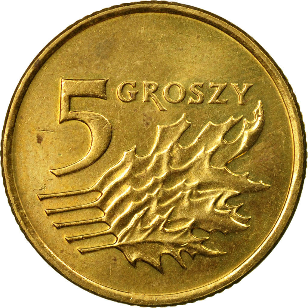 Moneda, Polonia, 5 Groszy, 2010, Warsaw, MBC, Latón, KM:278