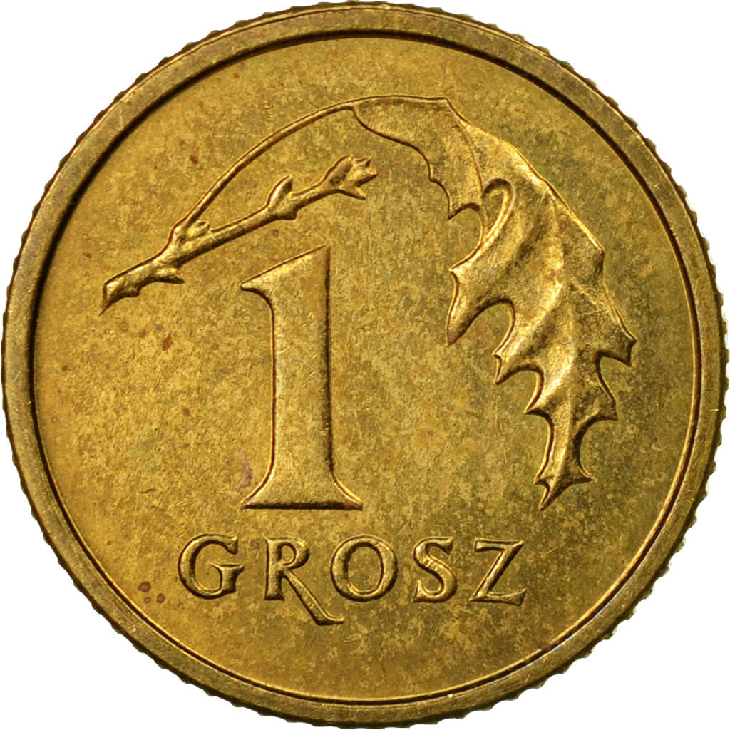 Coin, Poland, Grosz, 2001, Warsaw, EF(40-45), Brass, KM:276