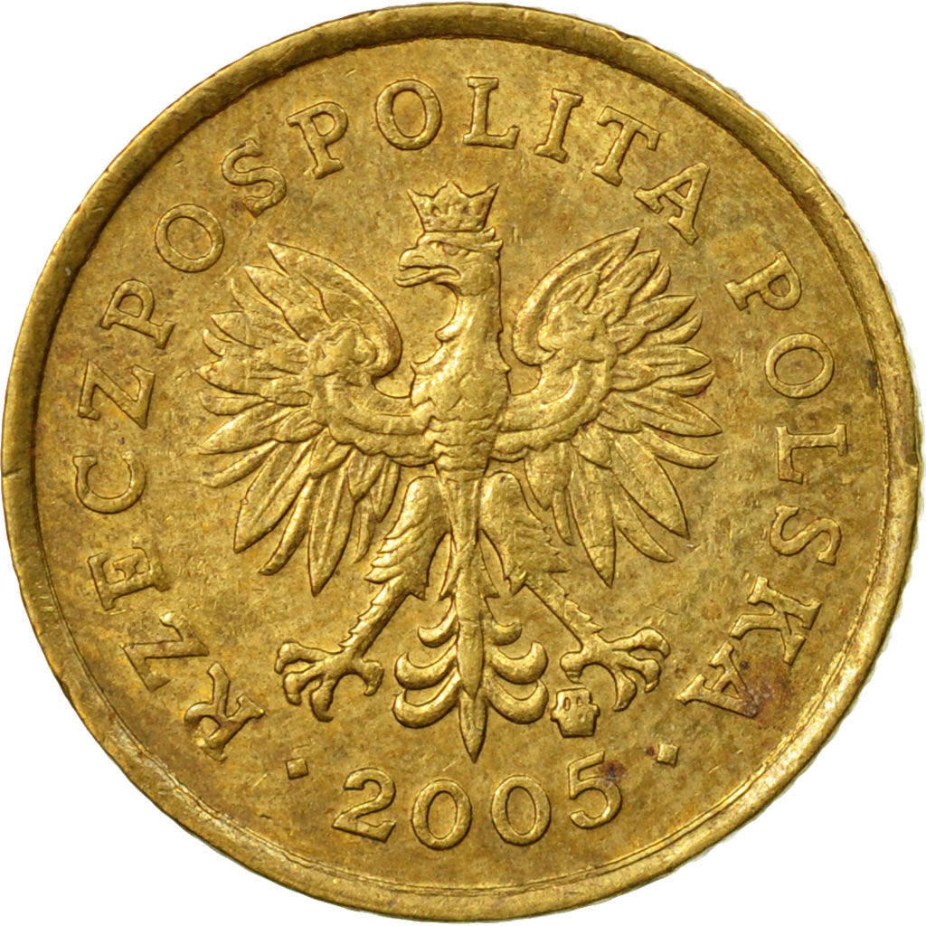 Coin, Poland, Grosz, 2005, Warsaw, EF(40-45), Brass, KM:276