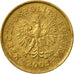 Coin, Poland, Grosz, 2005, Warsaw, EF(40-45), Brass, KM:276