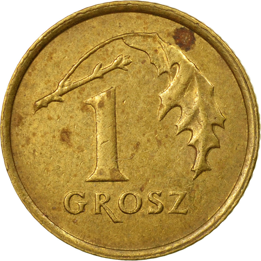 Coin, Poland, Grosz, 2005, Warsaw, EF(40-45), Brass, KM:276