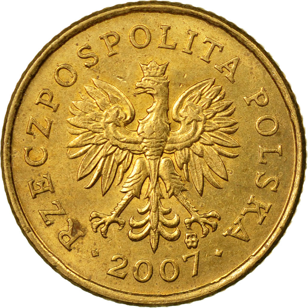Coin, Poland, Grosz, 2007, Warsaw, EF(40-45), Brass, KM:276
