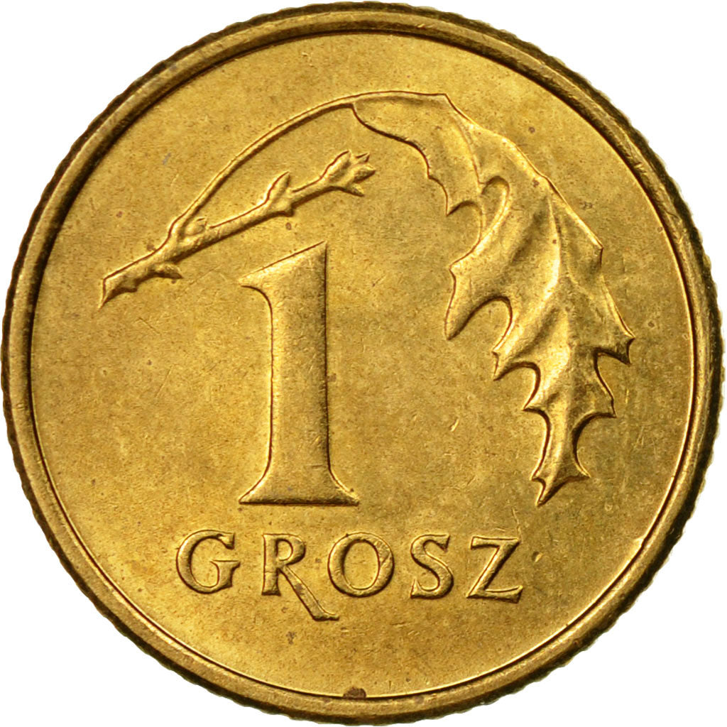 Coin, Poland, Grosz, 2007, Warsaw, EF(40-45), Brass, KM:276
