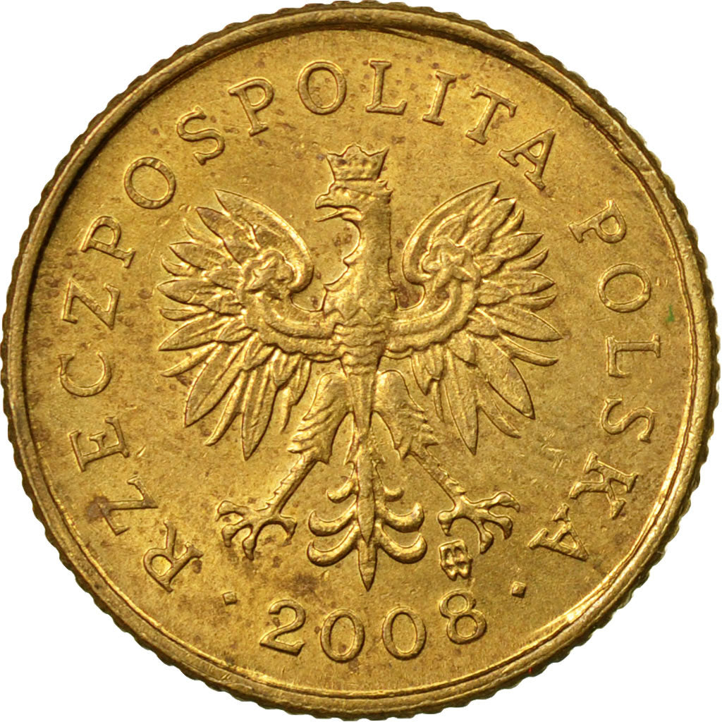 Moneda, Polonia, Grosz, 2008, Warsaw, MBC, Latón, KM:276