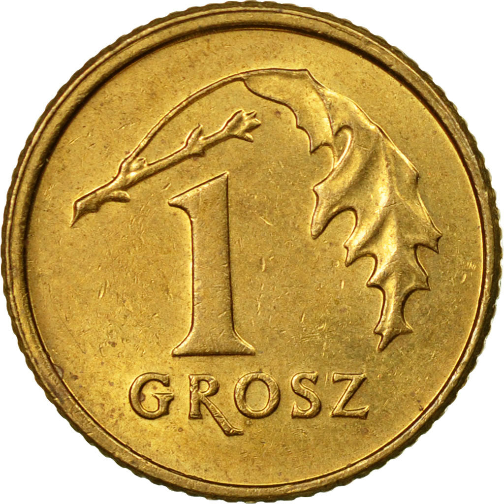 Moneda, Polonia, Grosz, 2008, Warsaw, MBC, Latón, KM:276