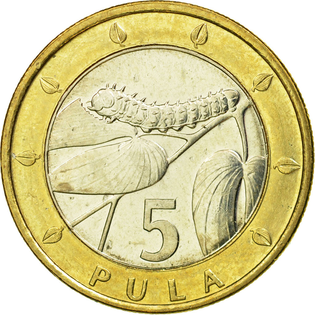 Coin, Botswana, 5 Pula, 2007, British Royal Mint, EF(40-45), Bi-Metallic, KM:30