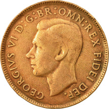 Coin, Australia, George VI, 1/2 Penny, 1951, EF(40-45), Bronze, KM:42