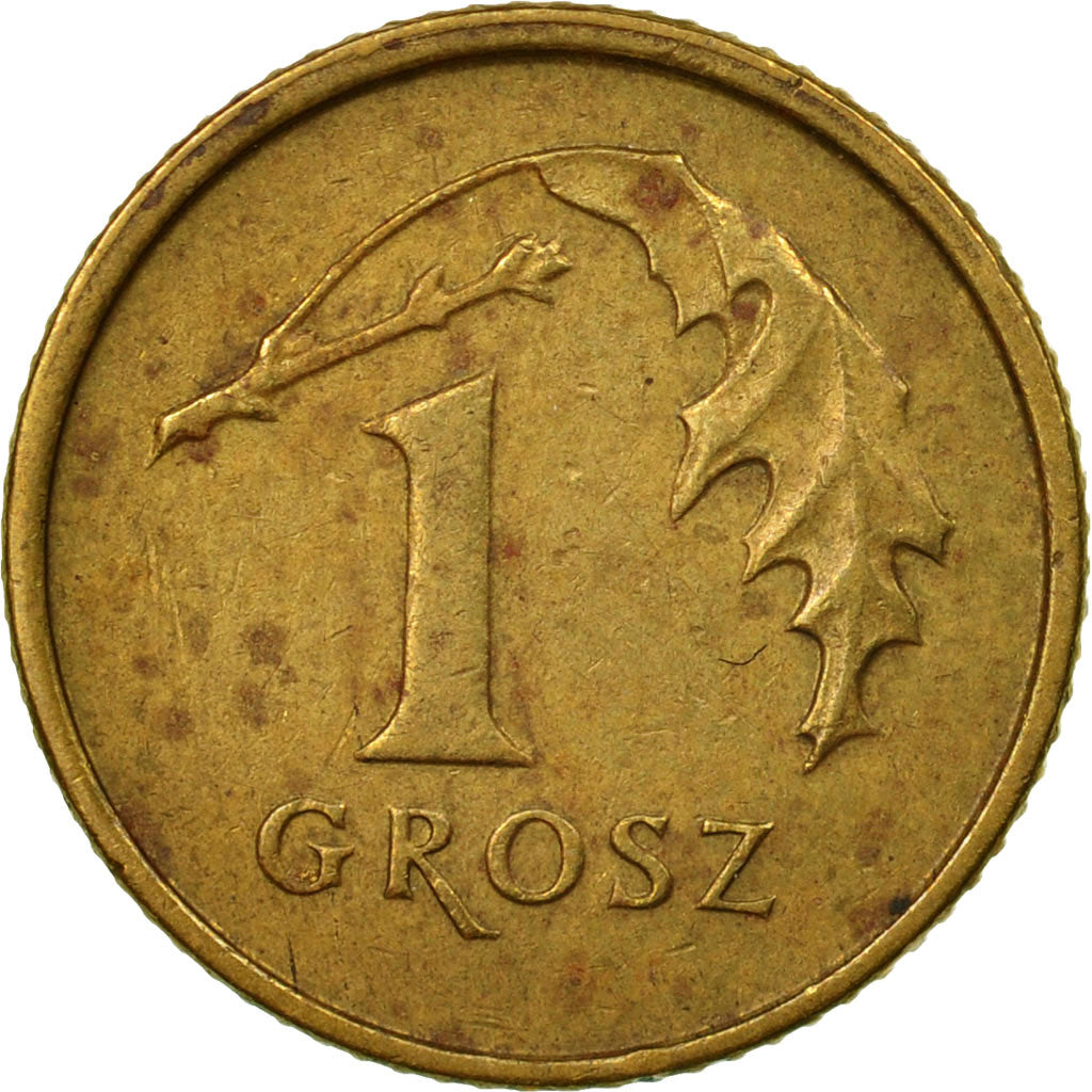 Coin, Poland, Grosz, 1995, Warsaw, EF(40-45), Brass, KM:276