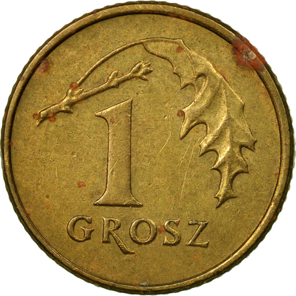 Münze, Polen, Grosz, 1991, Warsaw, SS, Messing, KM:276