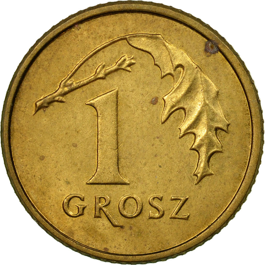 Coin, Poland, Grosz, 1993, Warsaw, EF(40-45), Brass, KM:276
