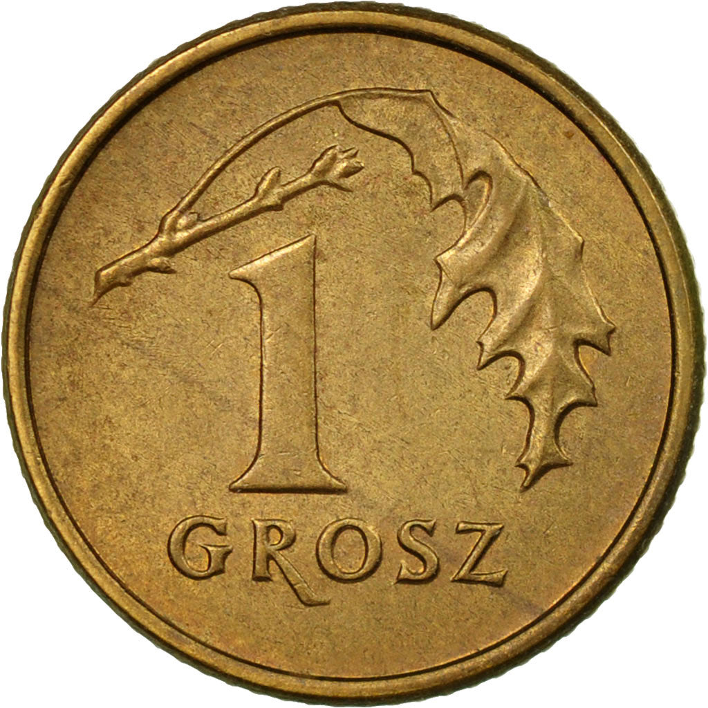 Coin, Poland, Grosz, 1991, Warsaw, EF(40-45), Brass, KM:276