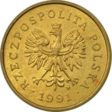 Coin, Poland, 2 Grosze, 1991, Warsaw, EF(40-45), Brass, KM:277