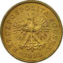 Coin, Poland, 5 Groszy, 1993, Warsaw, EF(40-45), Brass, KM:278