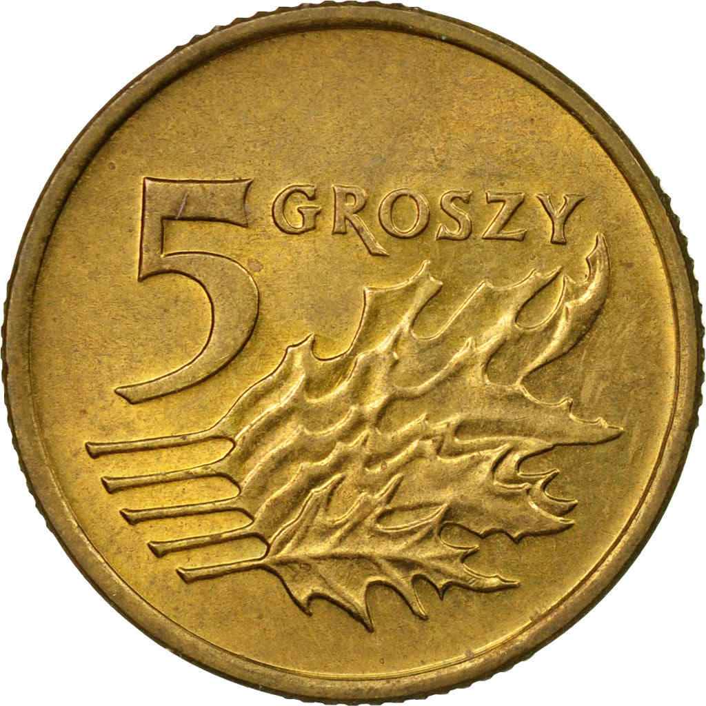Coin, Poland, 5 Groszy, 1993, Warsaw, EF(40-45), Brass, KM:278