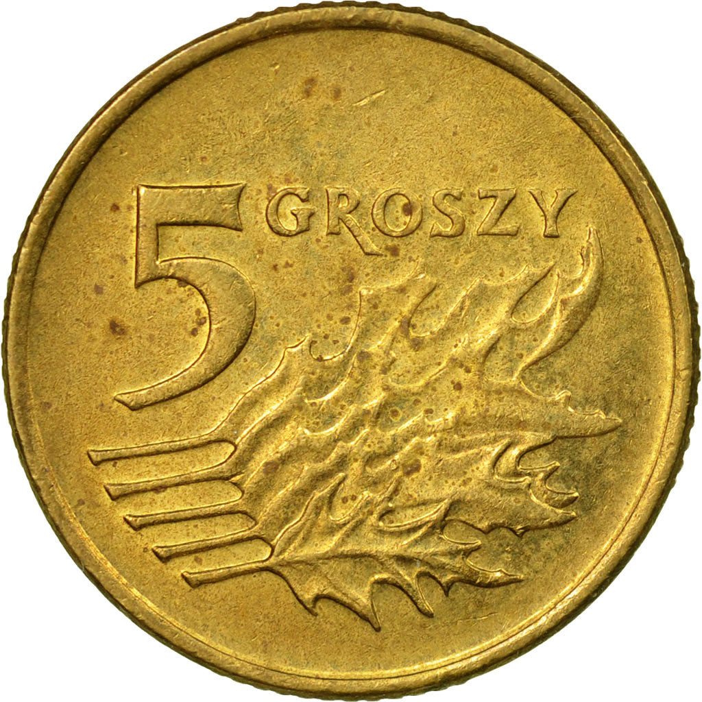 Monnaie, Pologne, 5 Groszy, 1993, Warsaw, TTB, Laiton, KM:278
