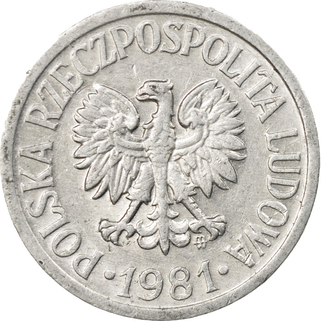 Monnaie, Pologne, 10 Groszy, 1981, Warsaw, TTB, Aluminium, KM:AA47