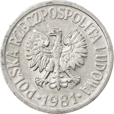 Monnaie, Pologne, 10 Groszy, 1981, Warsaw, TTB, Aluminium, KM:AA47