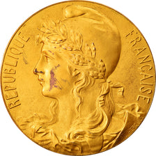 France, Medal, Exposition d'Hygiène Générale et Coloniale, Paris, 1902