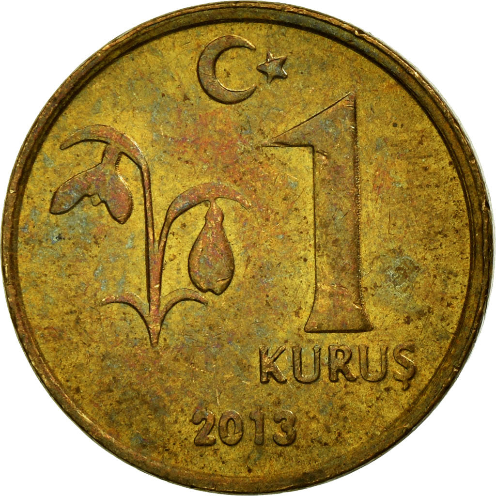 Coin, Turkey, Kurus, 2013, EF(40-45), Copper-Nickel Plated Steel, KM:1239