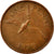 Coin, Guernsey, Elizabeth II, Penny, 1979, EF(40-45), Bronze, KM:27