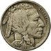 Coin, United States, Buffalo Nickel, 5 Cents, 1935, U.S. Mint, Philadelphia