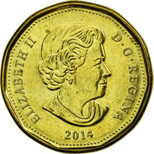 Coin, Canada, Dollar, 2014, EF(40-45), Brass plated steel