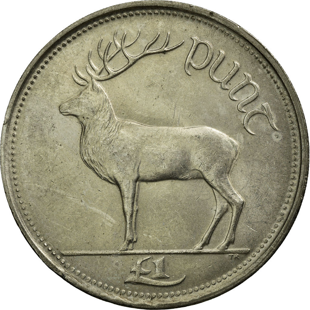 Coin, IRELAND REPUBLIC, Punt, Pound, 1990, EF(40-45), Copper-nickel, KM:27