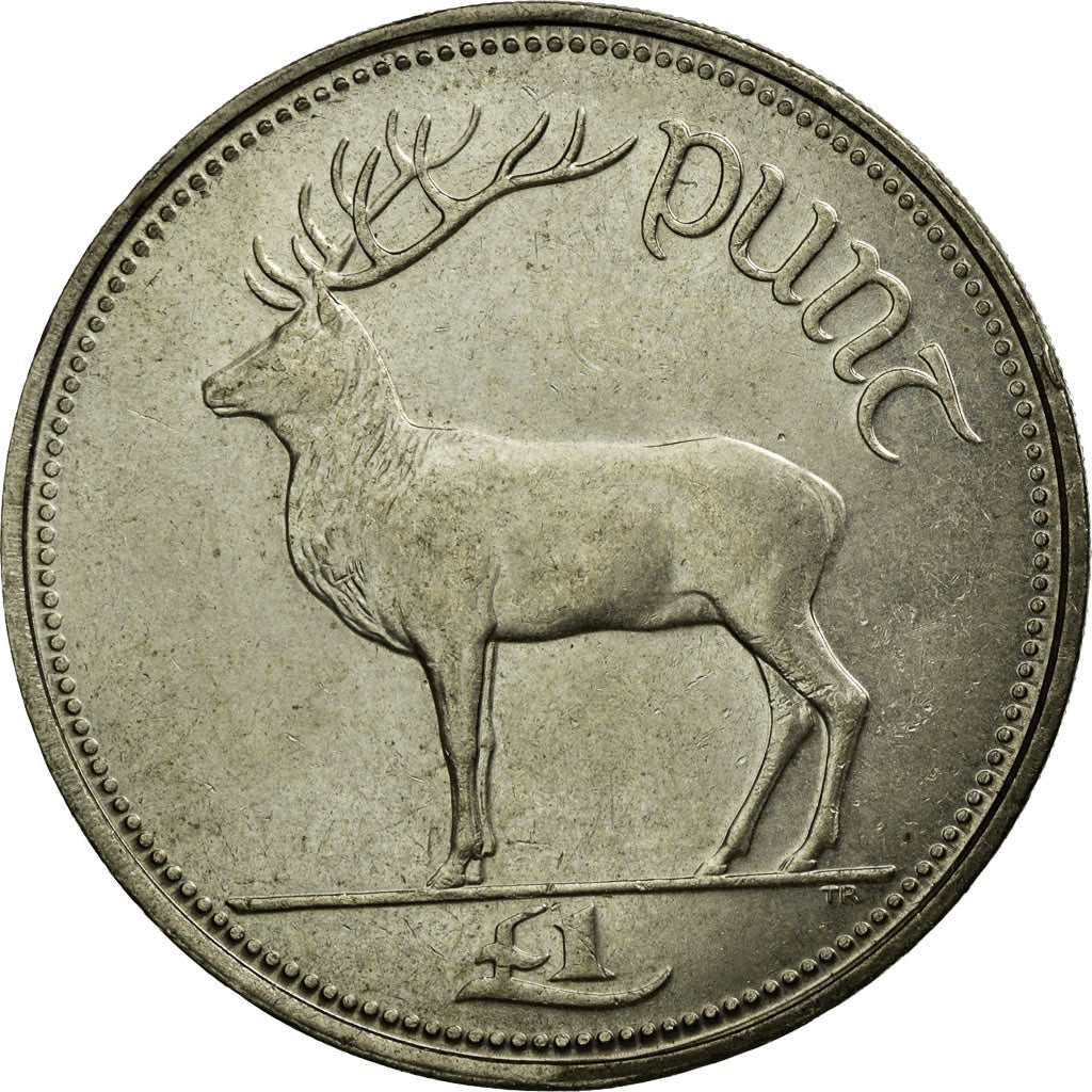 Coin, IRELAND REPUBLIC, Punt, Pound, 1994, EF(40-45), Copper-nickel, KM:27