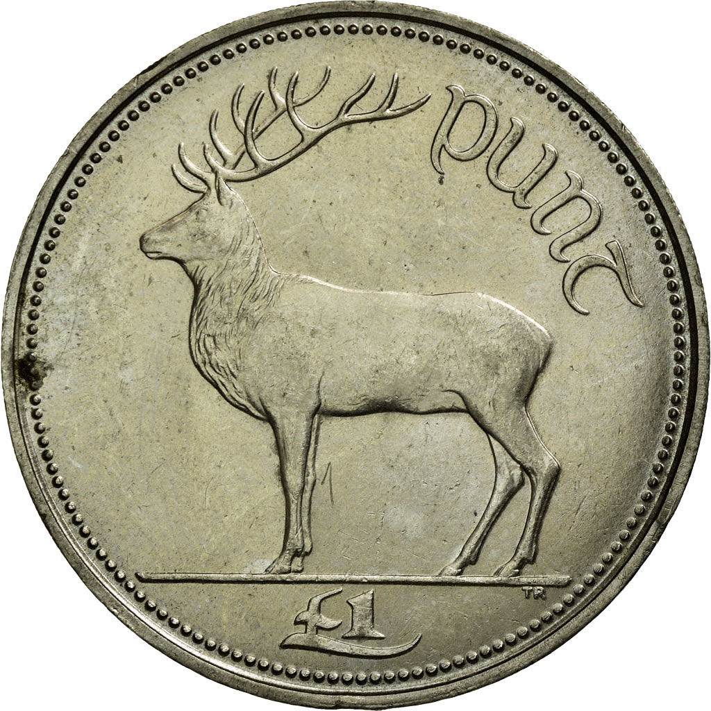 Coin, IRELAND REPUBLIC, Punt, Pound, 1990, EF(40-45), Copper-nickel, KM:27