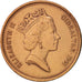 Coin, Gibraltar, Elizabeth II, 2 Pence, 1991, AU(50-53), Bronze, KM:21