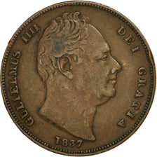 Moneda, Gran Bretaña, William IV, Farthing, 1837, MBC, Cobre, KM:705