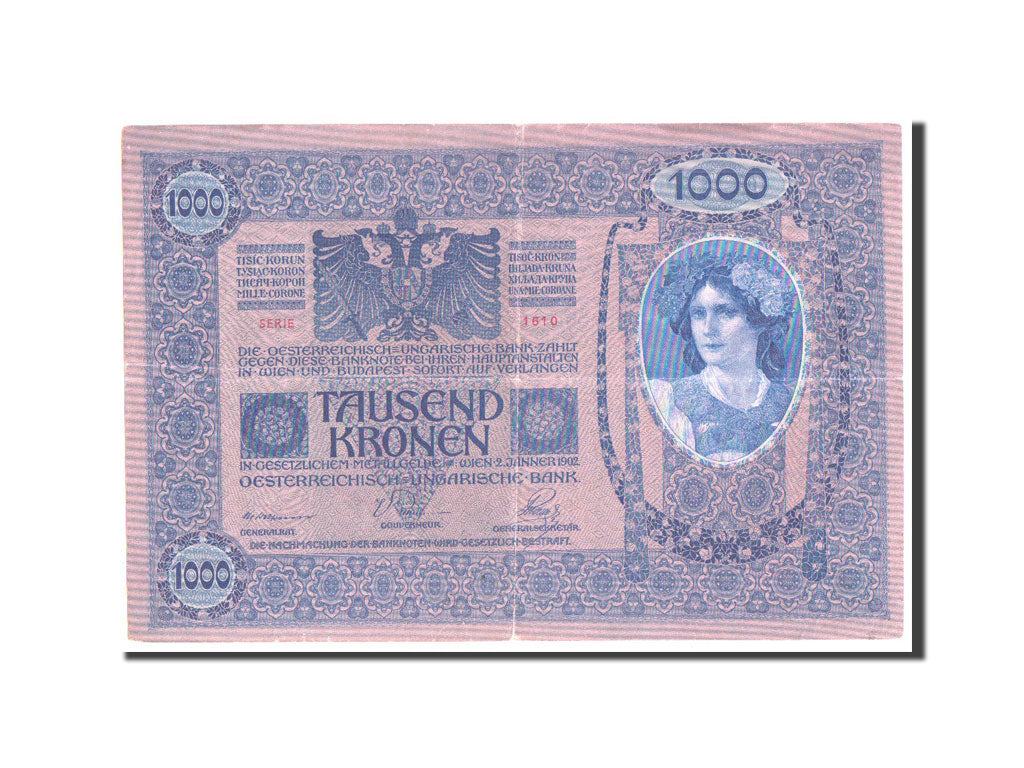 Austria, 1000 Kronen, 1919, KM #61, VF(30-35)