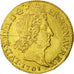 Moneda, Francia, Louis XIV, Double louis d'or aux 8 L et aux insignes, Double