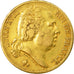 Coin, France, Louis XVIII, 20 Francs, 1824, Paris, EF(40-45), Gold, KM 712.1