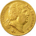 Moneda, Francia, Louis XVIII, 20 Francs, 1819, Paris, MBC, Oro, KM 1028