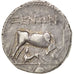 Coin, Illyria, Dyrrhachium, Drachm, AU(50-53), Silver