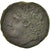 Münze, Sicily, Hieron II (274-216 BC), Hieron II, Bronze, Syracuse, S+, Bronze