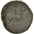 Münze, Sicily, Hieron II (274-216 BC), Hieron II, Bronze, Syracuse, S+, Bronze