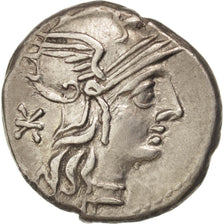 Coin, Denarius, Rome, AU(50-53), Silver