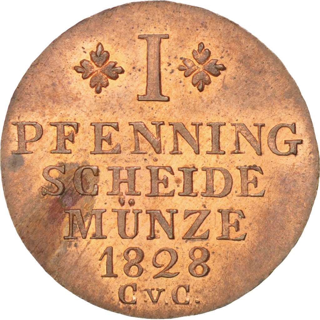 Stati tedeschi, BRUNSWICK-WOLFENBUTTEL, Karl II, Pfennig, 1828, SPL-, Rame, K...