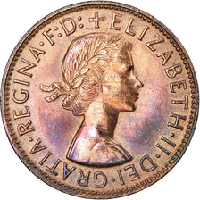 Coin, Australia, Elizabeth II, Penny, 1962, EF(40-45), Bronze, KM:56