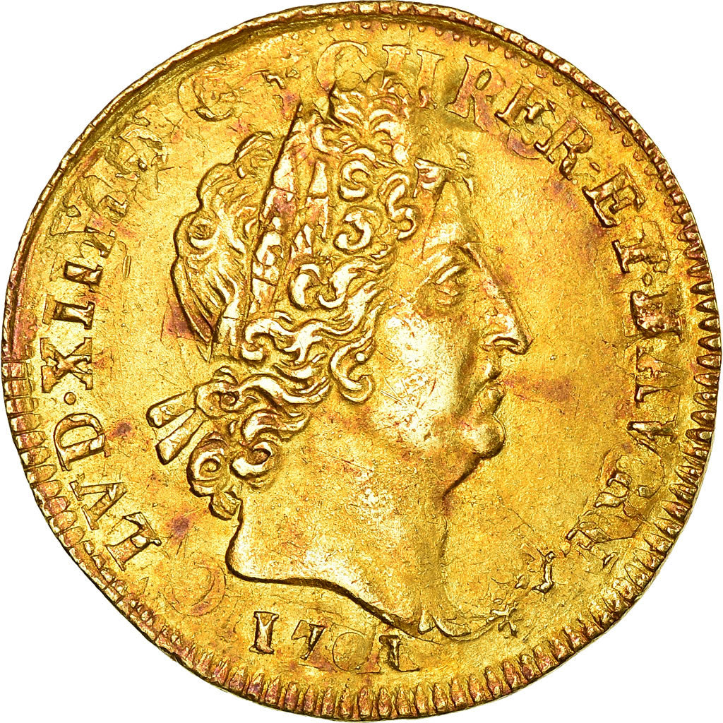 Monnaie,France,Louis XIV,Louis d'or aux 8 L et aux insignes,1701,Paris,TTB+