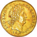 Monnaie,France,Louis XIV,Louis d'or aux 8 L et aux insignes,1701,Paris,TTB+