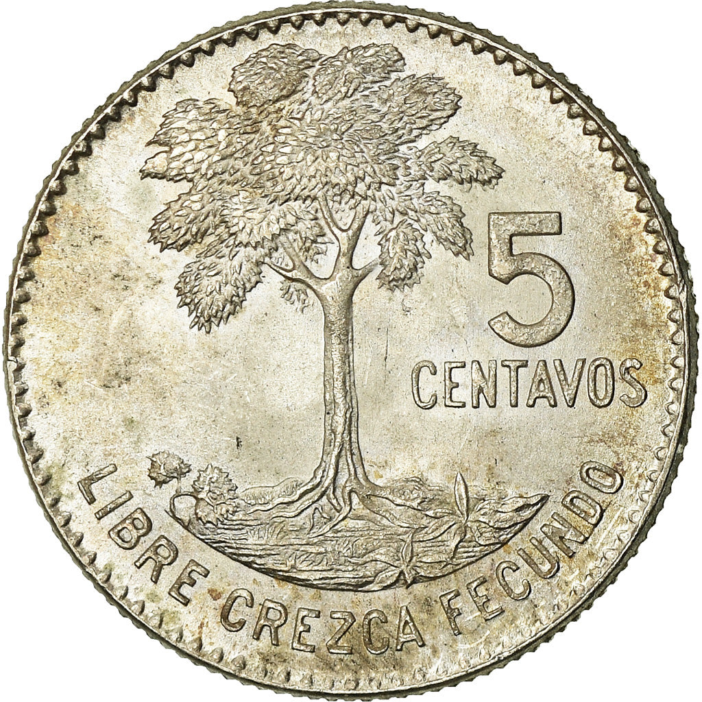 Moneda, Guatemala, 5 Centavos, 1960, EBC, Plata, KM:261
