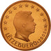 Luxembourg, 5 Euro Cent, 2003, MS(65-70), Copper Plated Steel, KM:77