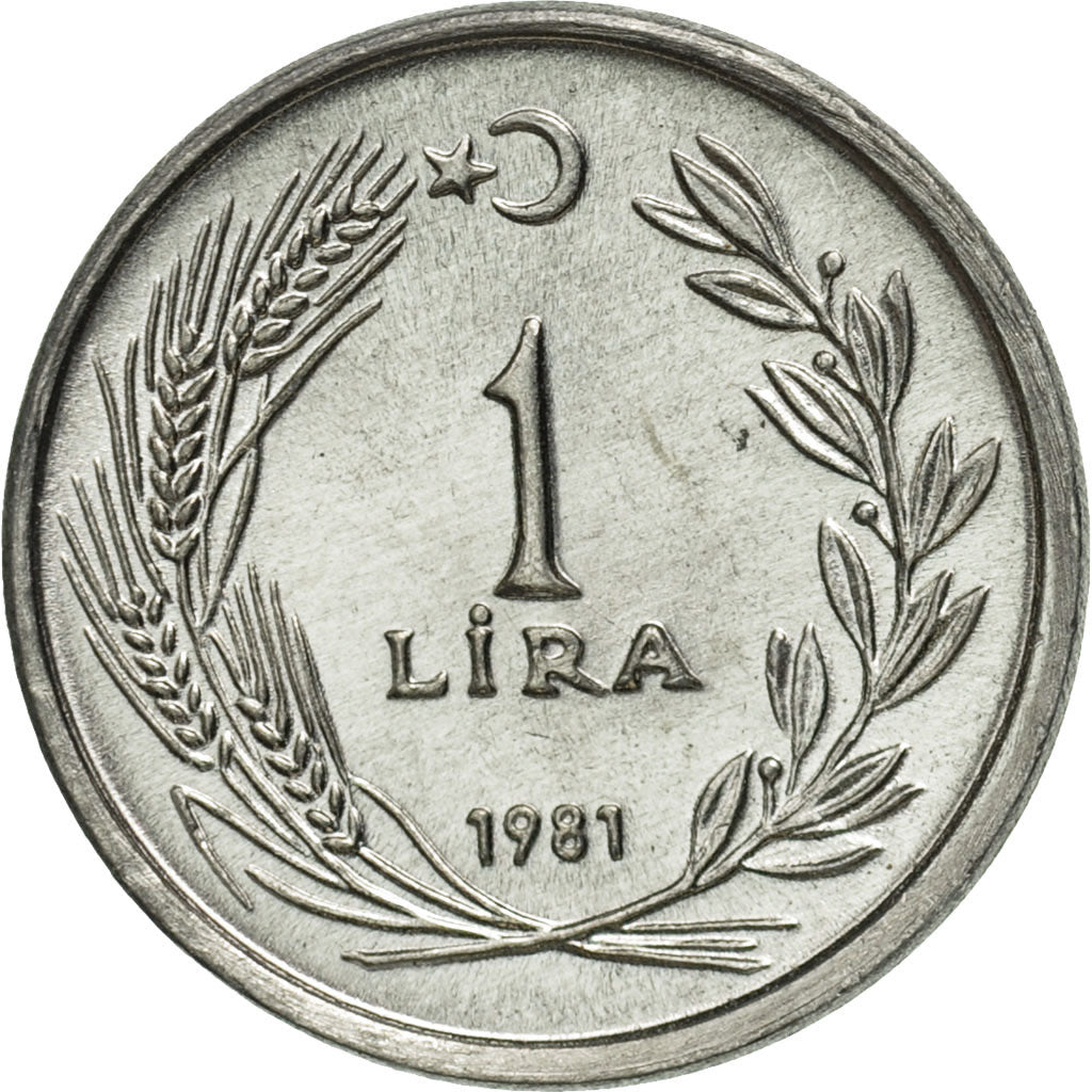 Coin, Turkey, Lira, 1981, MS(65-70), Aluminum, KM:943