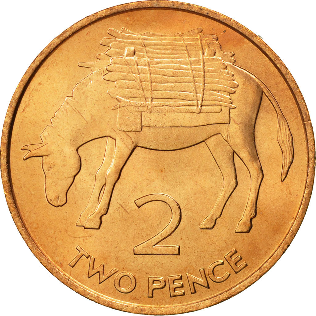 SAINT HELENA & ASCENSION, Elizabeth II, 2 Pence, 1984, British Royal Mint