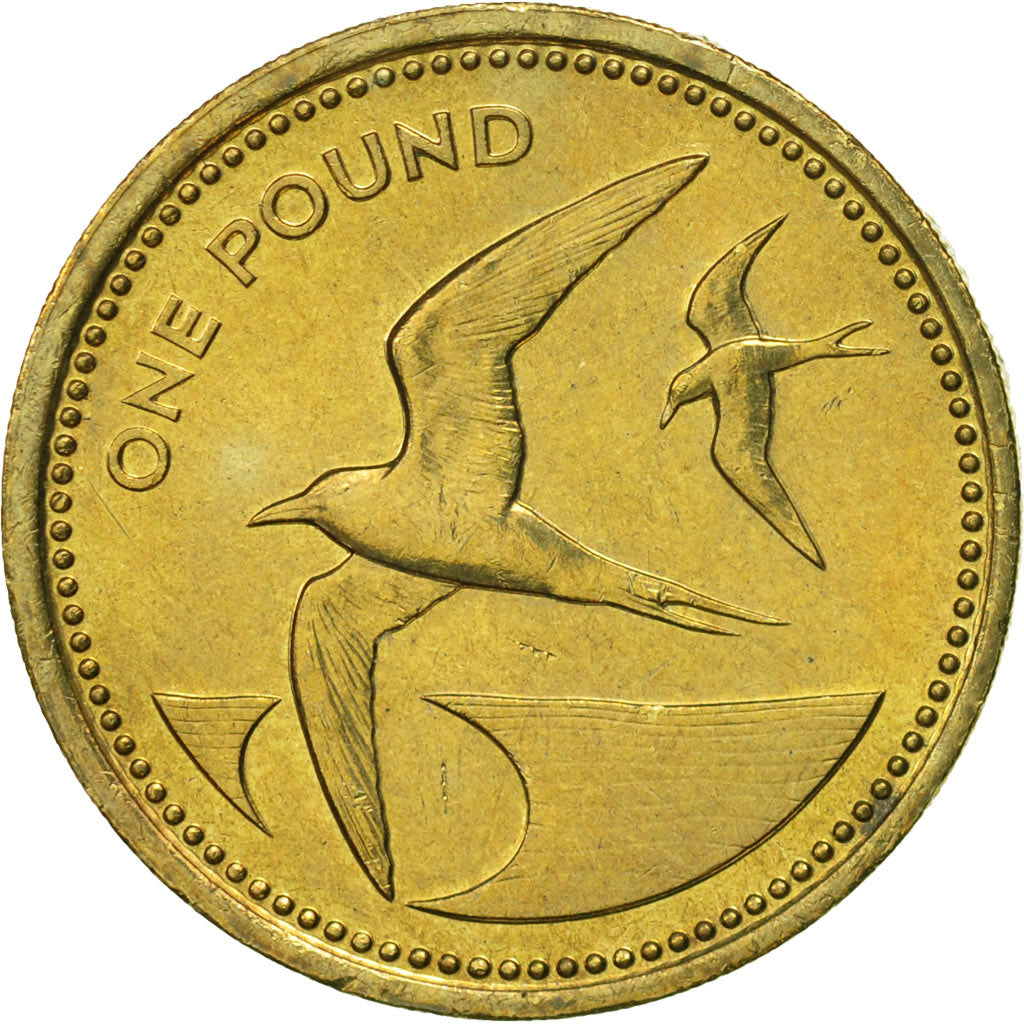 SAINT HELENA & ASCENSION, Elizabeth II, Pound, 1984, British Royal Mint